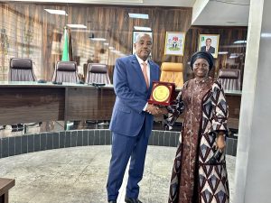 INEC, African Union strengthen partnership ahead of Nigeria's 2027 elections