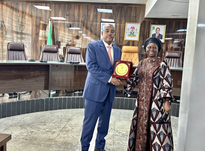 INEC, African Union strengthen partnership ahead of Nigeria's 2027 elections