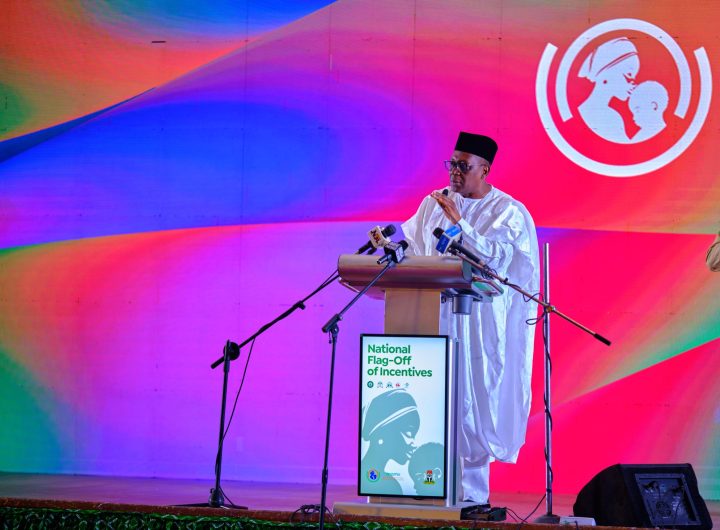 FG: Pregnancy is not a disease, and no woman should lose her life while giving birth