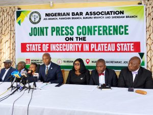 Plateau NBA asks Tinubu to give governors control of security operations