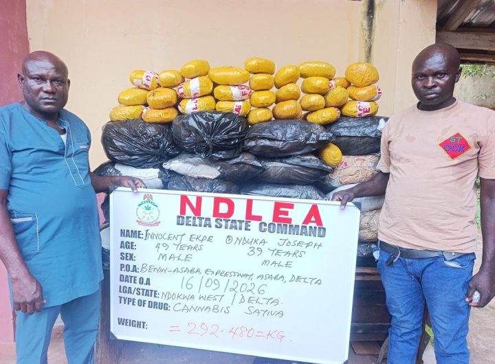 NDLEA seizes N3.4bn Canadian loud, opioids, arrests fake policeman, mechanic