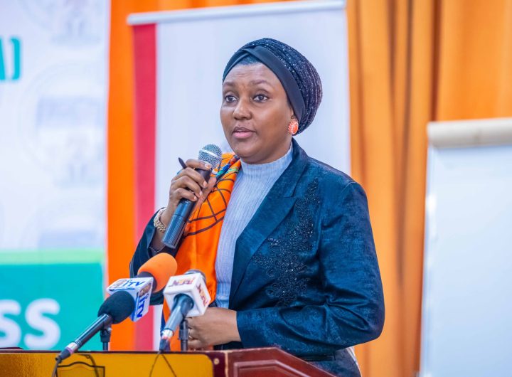 NEMA activates operations offices following high flood risk alert