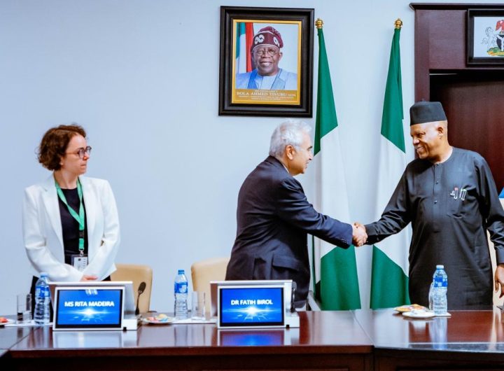 Nigeria, IEA solidify partnership, sign pact on energy policy, security