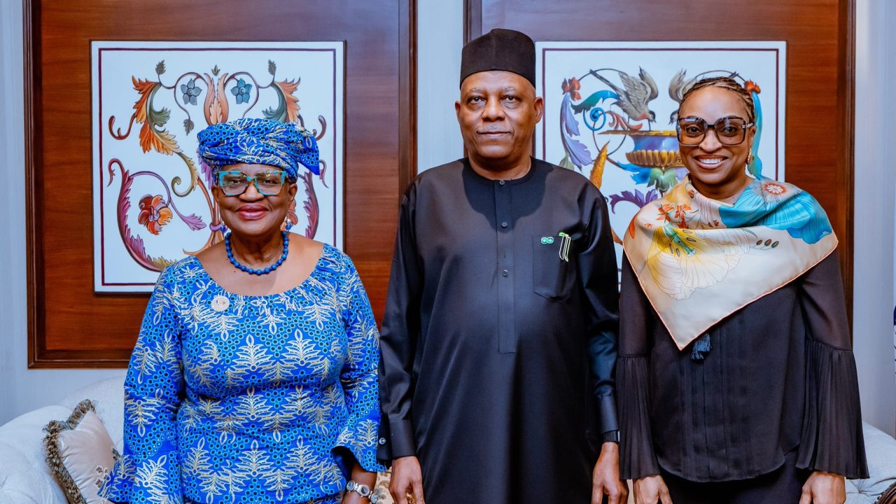 Nigeria Reaffirms Support For WTO, Multilateralism At BRICS Summit