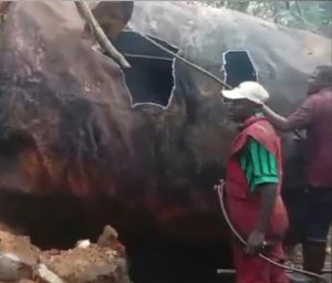 Nigerian Navy destroys illegal refinery in Rivers, recovers 350 litres of stolen diesel