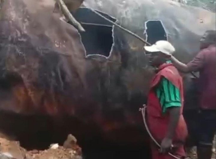 Nigerian Navy destroys illegal refinery in Rivers, recovers 350 litres of stolen diesel
