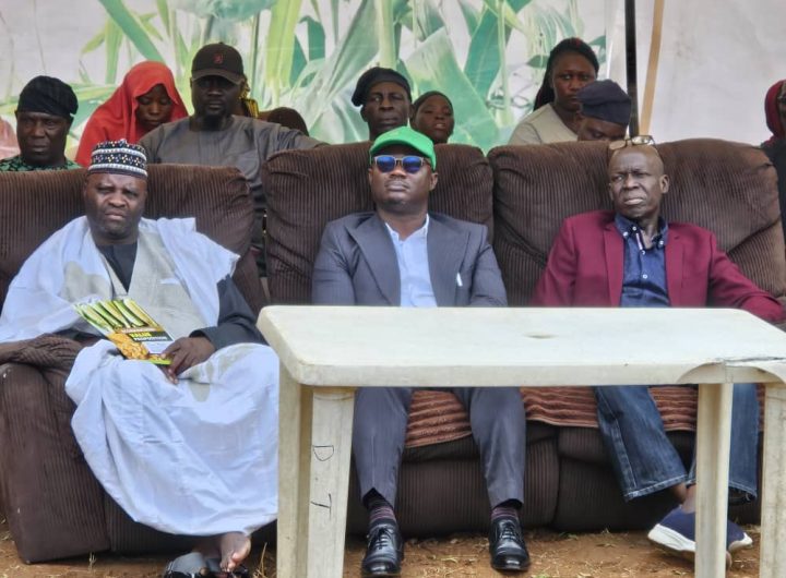 Nigeria’s food security drive requires wider use of hybrid seeds — EcoBasic MD