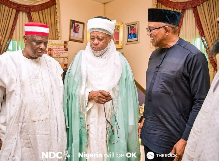 Obi, Kwankwaso meet Sultan of Sokoto, push national unity, security and Jobs