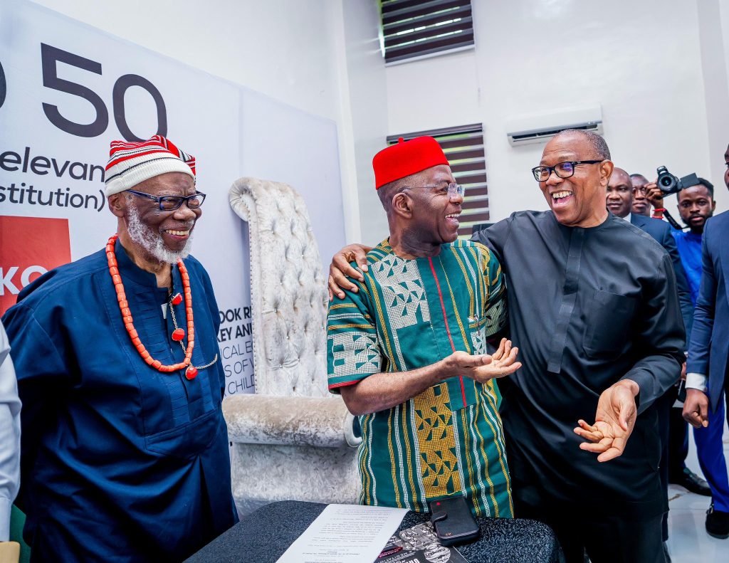 Ohanaeze @50: Alex Otti calls for youth inclusion, innovation to secure Igbo future Abia State Governor, Alex Otti, has called on Ohanaeze Ndigbo to reinvent itself by embracing young people, technology and innovation as it marks its 50th anniversary, saying the pan-Igbo socio-cultural organisation must remain relevant to future generations. Otti made the call in a post on his official X handle on Wednesday while reflecting on his address at the public presentation of _"Ohanaeze at 50: The Burden of Memory, The Politics of Relevance: A Critical Biographical Reflection of an Igbo Institution_," a book written by Agbaeze Ireke Kalu Onuma. The governor said he joined eminent Igbo leaders, traditional rulers and other distinguished guests at the event held in Ikeja, Lagos, where he delivered a speech titled "Ohanaeze at 50: A Book That Holds Up the Mirror." According to Otti, the book is more than a historical account of the organisation, as it critically examines its leadership, achievements, challenges and continued relevance. He wrote, "At 50, Ohanaeze Ndigbo deserves celebration, but also honest reflection. This 602-page work goes beyond recounting the organisation's history. It examines its leadership, achievements, challenges and continuing relevance." Quoting American comedian Phyllis Diller, the governor added, "Maybe it's true that life begins at fifty. But everything else starts to wear out, fall out, or spread out." Otti said the publication encourages Ndigbo to look beyond the past and focus on building a stronger future. He stated, "The book therefore challenges us to look beyond history and ask what Ohanaeze has become, what it should be, and what it must do to remain relevant to generations of Ndigbo yet unborn." The governor stressed that preserving Igbo heritage alone is not enough, insisting that the organisation must adapt to changing realities. He said, "It reminds us that while heritage provides a foundation, relevance must be earned continuously. The future of Ndigbo requires institutions that embrace young people, technology, innovation and the global Igbo community, while translating our rich cultural identity into greater economic, intellectual and political strength." Otti commended the author for documenting the journey of Ohanaeze Ndigbo and recommended the book to readers interested in the history, identity, unity and future of the Igbo people. According to him, "Ohanaeze at 50 is not merely a record of history, it is an invitation to reflect on where we are and where we should be headed." He also quoted former Major League Baseball player Chili Davis, saying, "Growing old is mandatory; growing up is optional." The governor expressed hope that the golden jubilee of Ohanaeze Ndigbo would spark fresh conversations on strengthening the organisation and positioning it to meet the aspirations of future generations. Founded in 1976, Ohanaeze Ndigbo is the apex socio-cultural organisation representing the interests of the Igbo people in Nigeria and the diaspora. The body has played a leading role in promoting Igbo unity, culture, development and advocacy on national issues over the past five decades.