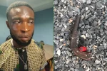Oyo police arrest armed robber, recover pistol and live cartridge on Ibadan-Ife road
