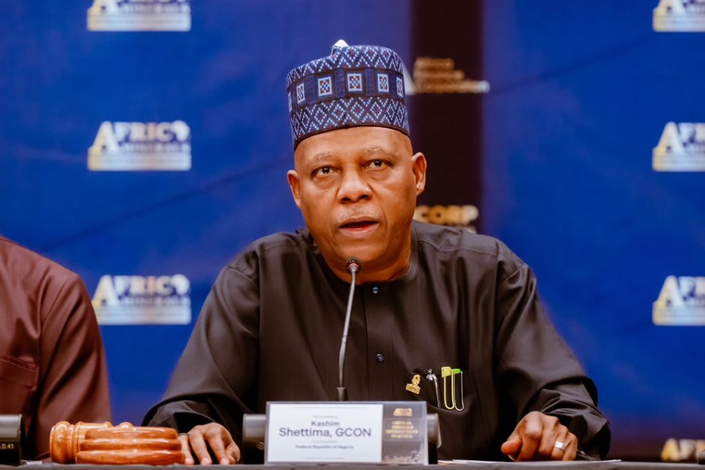 Vice President Kashim Shettima 