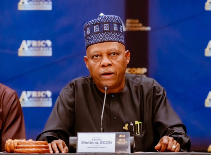 Vice President Kashim Shettima
