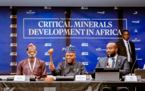 Tinubu rallies aggressive alliance to guard Africa's mineral wealth