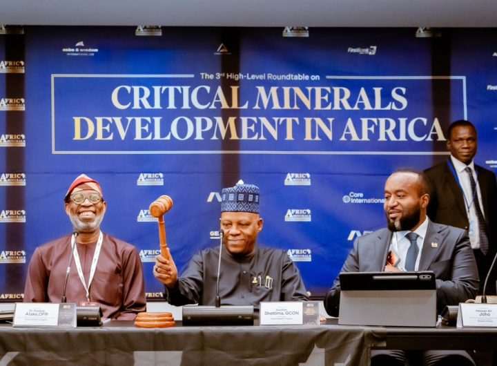 Tinubu rallies aggressive alliance to guard Africa's mineral wealth
