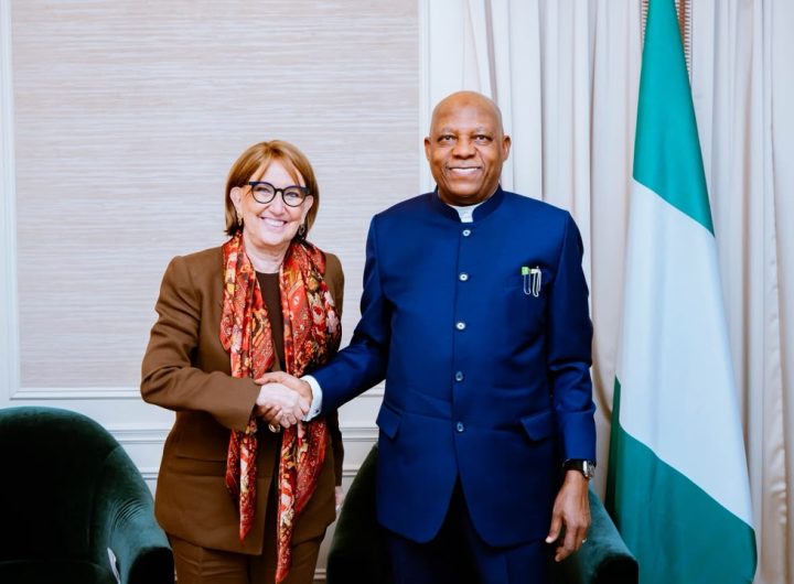 UN Secretary-General election: Nigeria will stand for justice, fairness, Shettima assures Costa Rican candidate