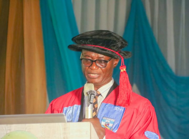 UNIJOS don urges FG, NUC to introduce undergraduate degree in educational tests, measurement