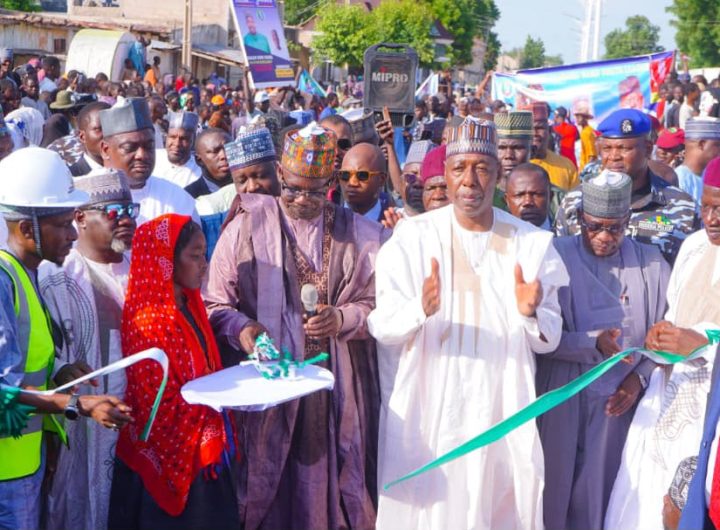 Zulum opens flyover bridge, road projects, 2 schools in Maiduguri