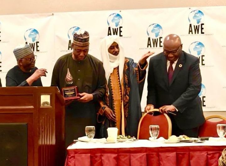 Zulum receives Pan-African Leadership Award, dedicates honour to Borno’s resilient people