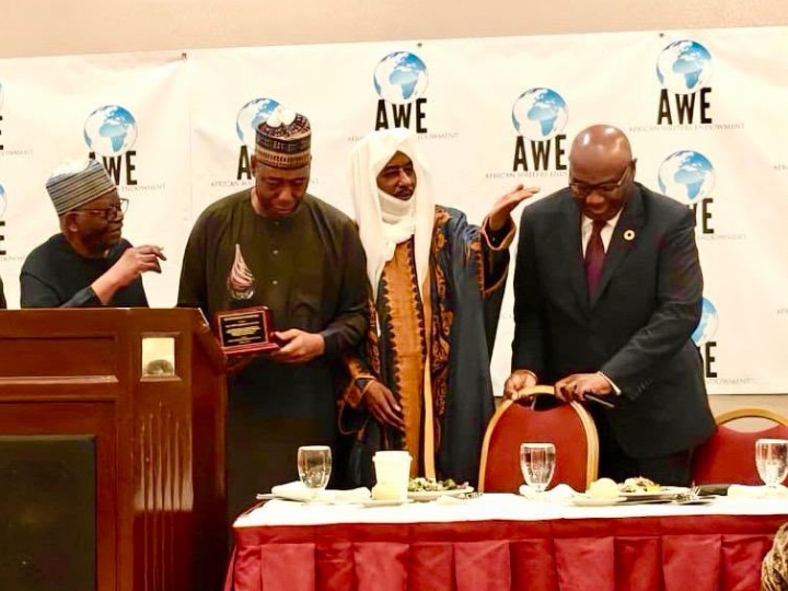 Zulum receives Pan-African Leadership Award, dedicates honour to Borno’s resilient people