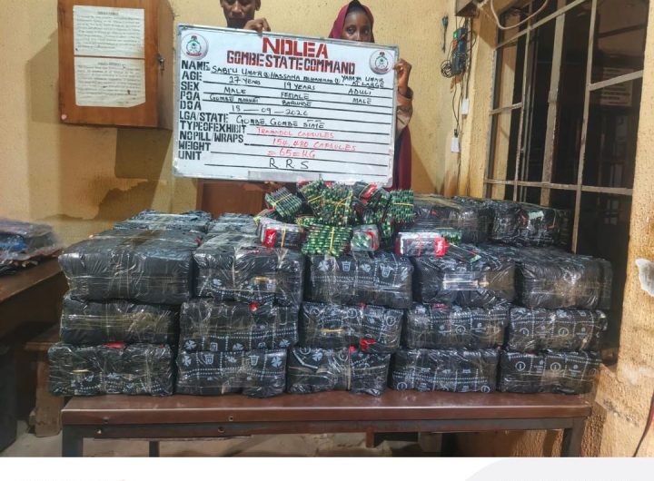 NDLEA arrests teenagers with AK-47 rifles, destroys 5,000kg cannabis farm in nationwide operations
