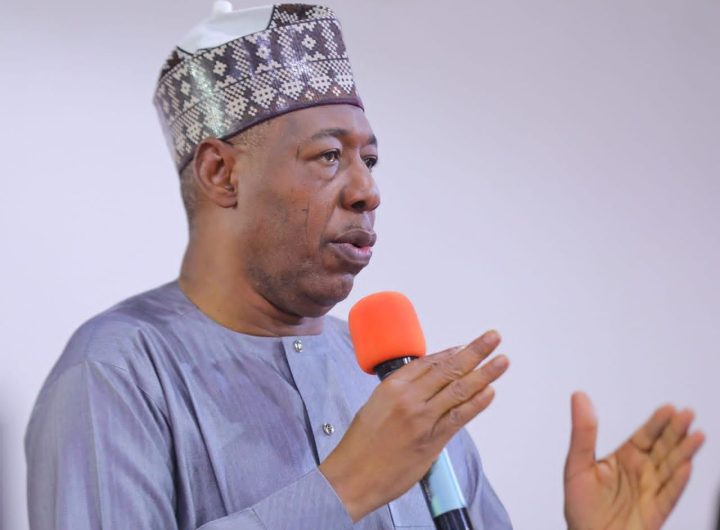 Ajakuta: Borno loses infrastructure worth billions to scavengers, Zulum says