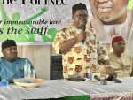 INEC Chairman, Prof Joash Amupitan