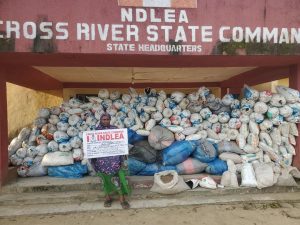NDLEA arrests 83-year old convicted grandma, South African lady with Colos, Meth shipments