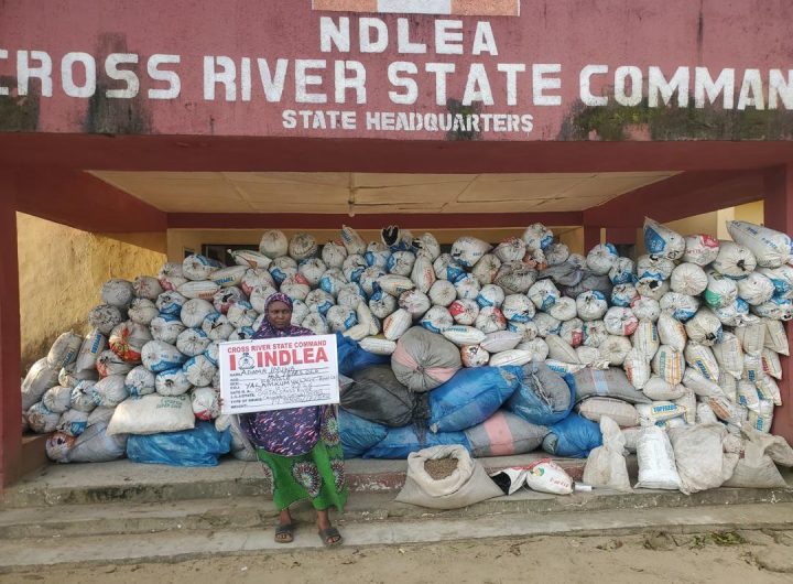 NDLEA arrests 83-year old convicted grandma, South African lady with Colos, Meth shipments