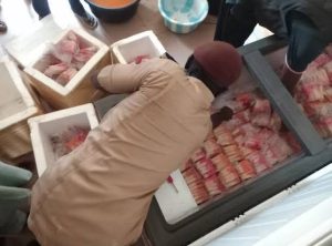 Niger LGA closes illegal ice cream factories over flies, lack of NAFDAC approval
