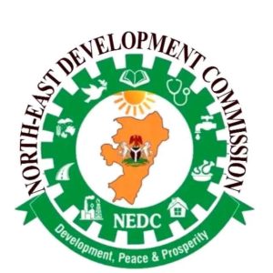 NEDC to roll out electric buses, vehicles, tricycles in Taraba to cut transport costs, create jobs