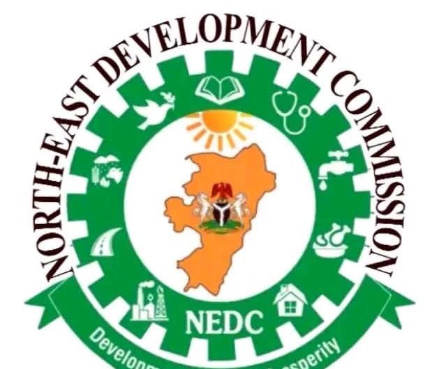 NEDC to roll out electric buses, vehicles, tricycles in Taraba to cut transport costs, create jobs