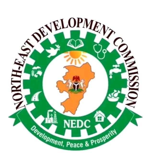 NEDC to roll out electric buses, vehicles, tricycles in Taraba to cut transport costs, create jobs