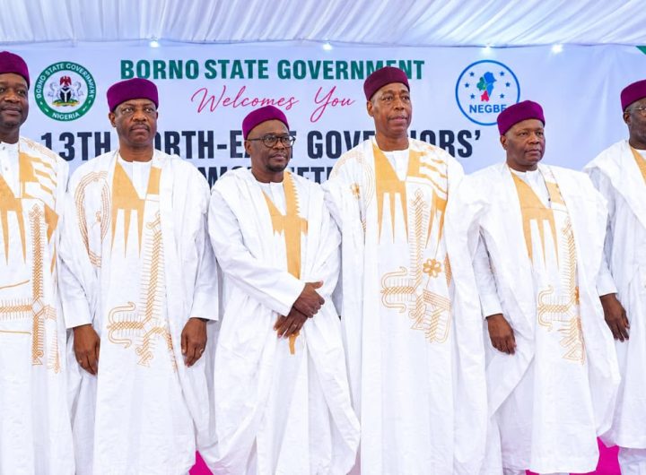 Zulum commends Tinubu for reviving Kolmani oil exploration, urges Borno’s oil field work revived