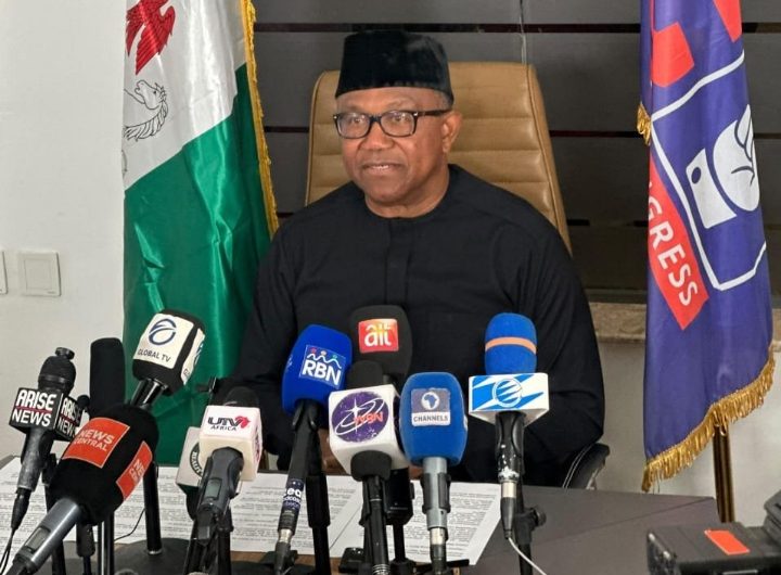 NDC Presidential candidate, Peter Obi