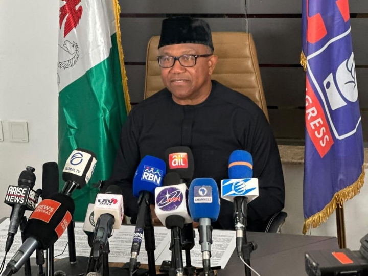 NDC Presidential candidate, Peter Obi