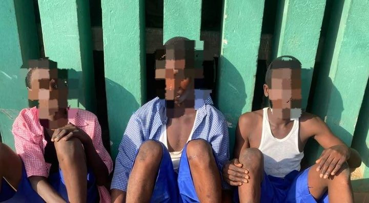 Ogun police foil school cult initiation, arrest 3 students, recover weapons