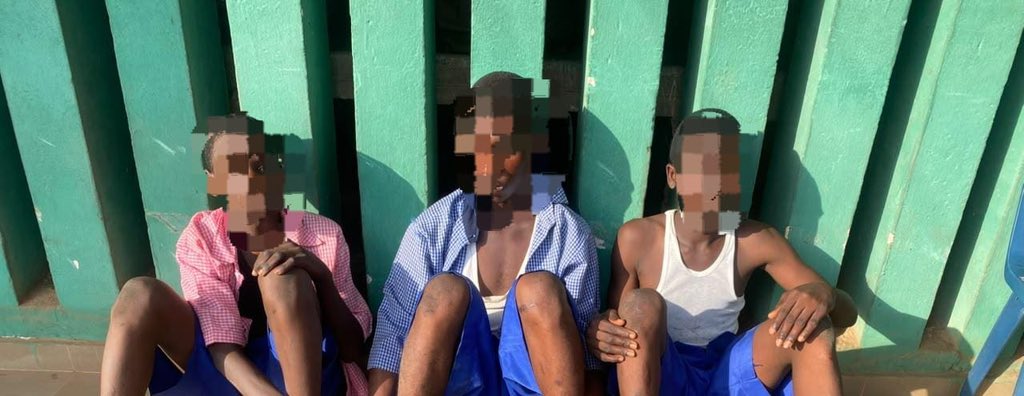 Ogun police foil school cult initiation, arrest 3 students, recover weapons