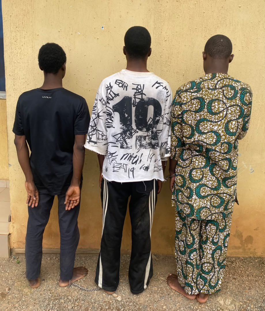Oyo police arrest 3 men over unnatural sexual conduct in Saki
