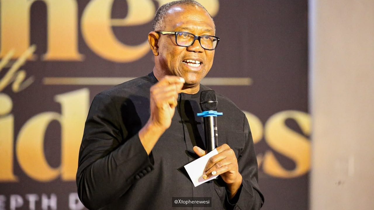 NDC presidential candidate, Peter Obi