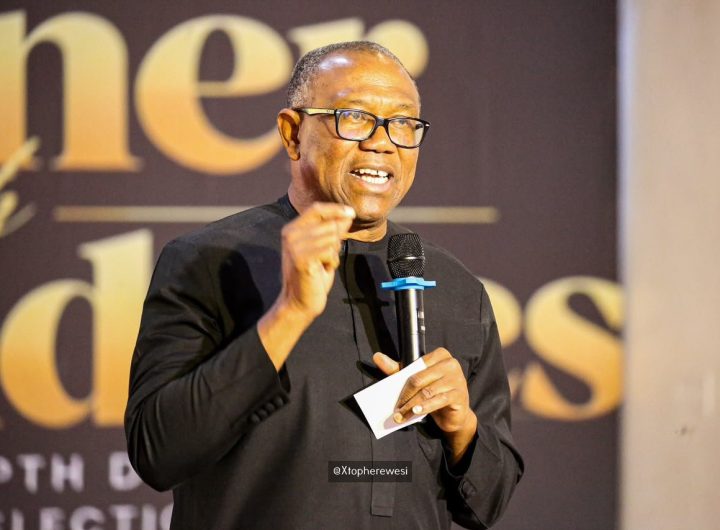 NDC Presidential candidate, Peter Obi