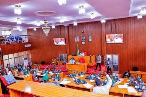 Plateau Assembly endorses proposed state police amendment