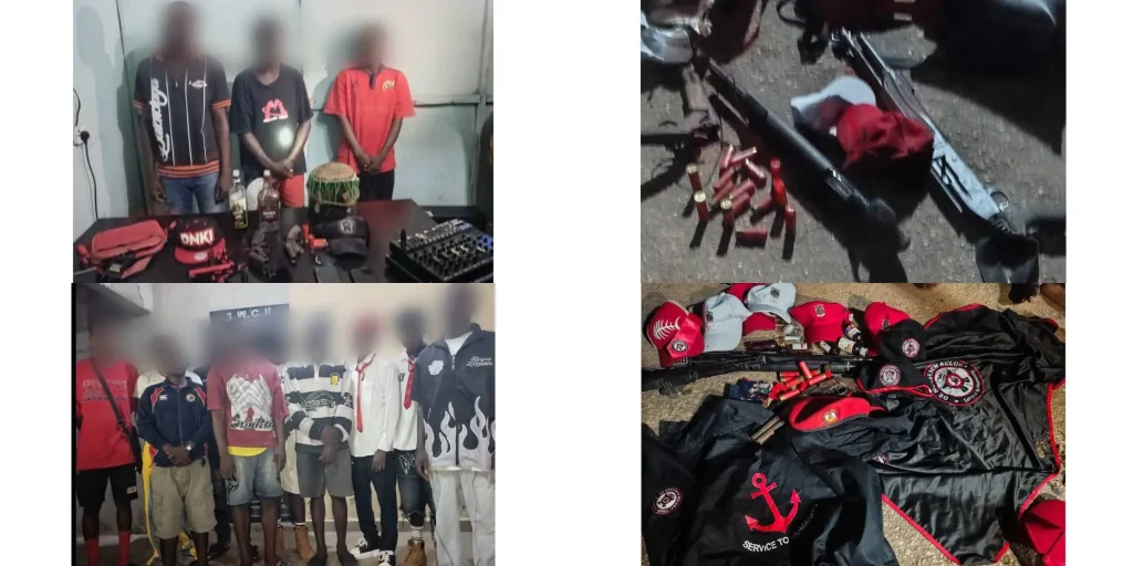 Police arrest 95 suspected cultists, recover 5 firearms in Delta