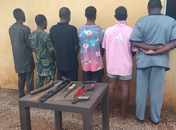 Oyo police arrest 6 armed robbers, recover guns, ammunition