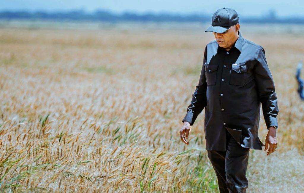 Nigeria embarks on mega-infrastructure drive to power agrifood boom