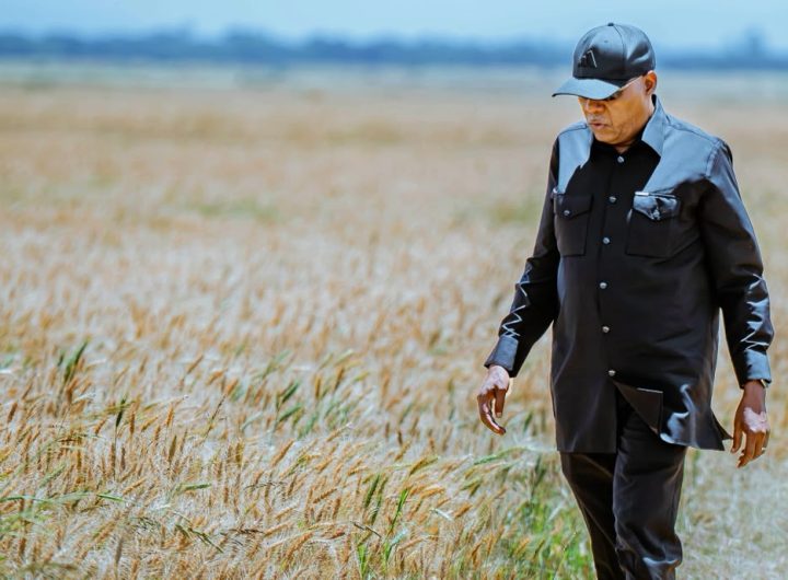 Nigeria embarks on mega-infrastructure drive to power agrifood boom