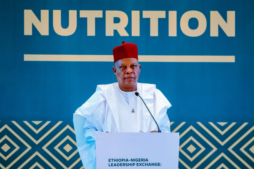 Nigeria moves to protect nutrition funding, instill accountability with new law