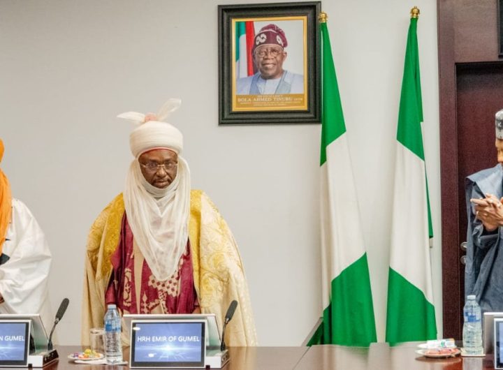 Shettima says Tinubu has respect for traditional institutions