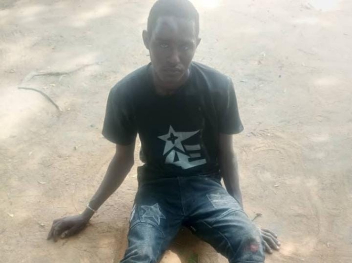 Troops arrest terrorist in Yobe