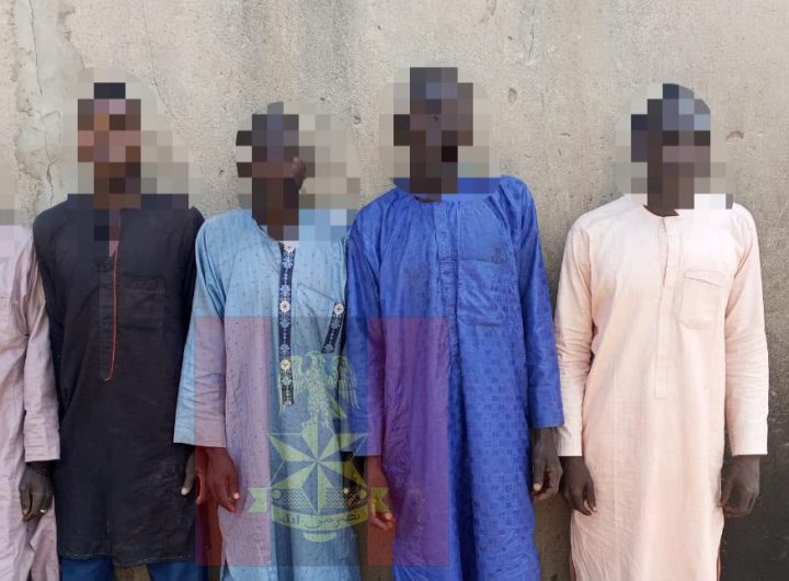 Troops kill 6 terrorists, arrest 11 suspected collaborators