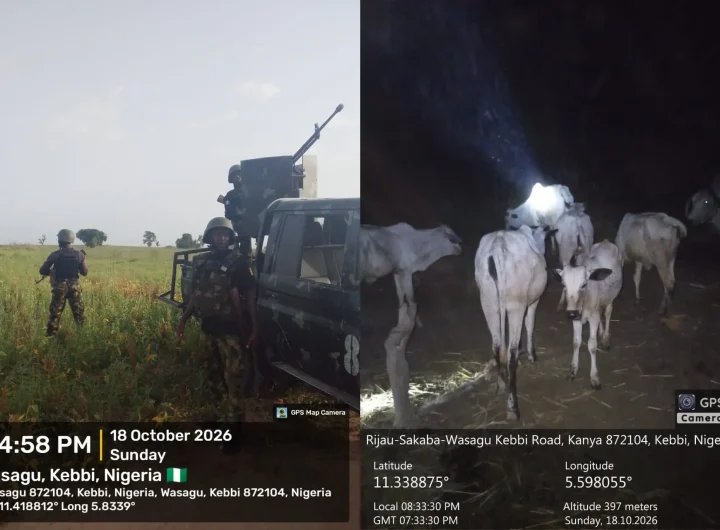 Troops rescue kidnap victims